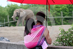 Wearing child at the Zoo