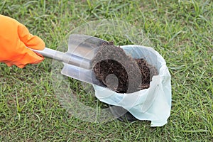 Wearing orange rubber gloves, use a shovel to scoop the soil into black plastic pots lined with white plastic bags on grass