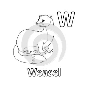 Weasel Animal Alphabet ABC Isolated Coloring W