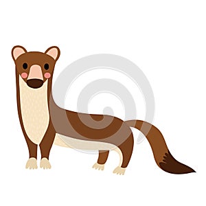 Weasel animal cartoon character vector illustration