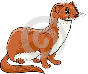 Weasel animal cartoon illustration