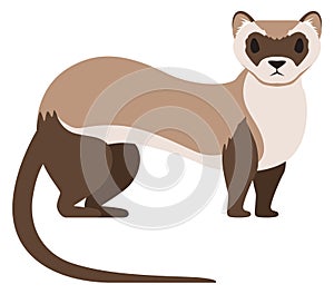 Weasel cartoon icon. Wild animal. Furry pet