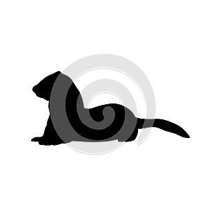 Weasel ferret silhouette. An animal of the marten family