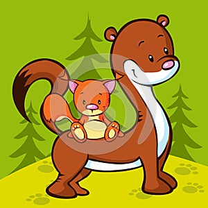 Weasel and squirrel in the wood