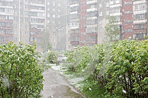 Weather anomalies. Snow in may.