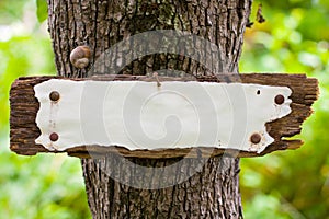 Weather-beaten old sign in the woods photo