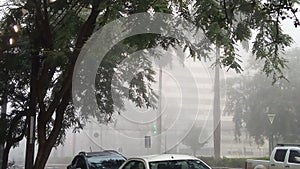 Weather climate Street tree photo