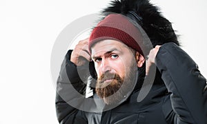 Weather resistant jacket concept. Man bearded stand warm jacket parka isolated on white background. Hood adds warmth and