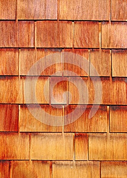 Weather Treated Wood Siding