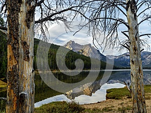 Weather trees help frame the Idaho Sawtooths at Stanley Lake