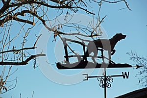 Weather Vane