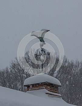 Weather vane