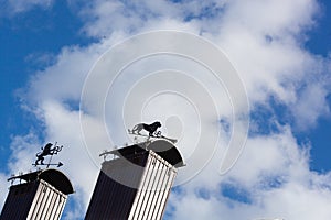 Weather vane on the roof of the house, showing the direction of the wind