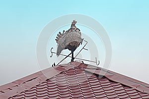 Weather vane rooster on roof top