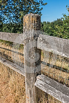 Weatherbeaten Fence Closeup