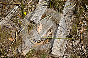 Weatherboard timber lying on the ground