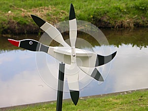 Weathercock duck