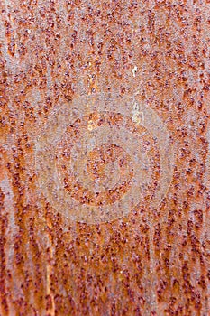 Weatherd Rusted Metal Surface Texture
