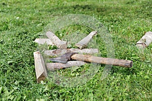 Axe and Split Firewood