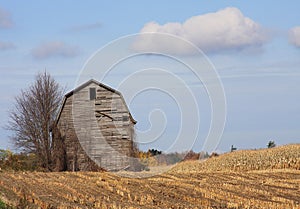 Weathered Barn