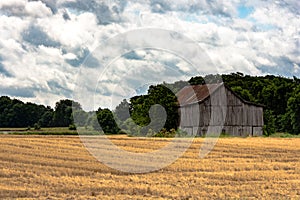 Weathered barn and harvested wheat field