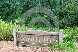 Weathered Bench in the Woods at Descanso Gardens photo