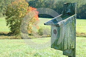 Weathered Birdhouse in a Meadow