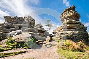 Weathered Brimham Rocks photo