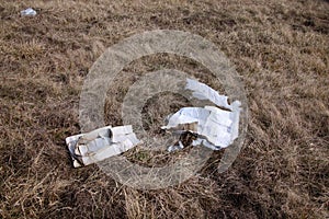 Weathered cardboard box dumped as trash