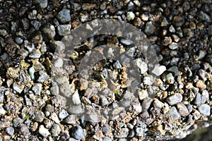 Weathered concrete garden block exposes pebbles