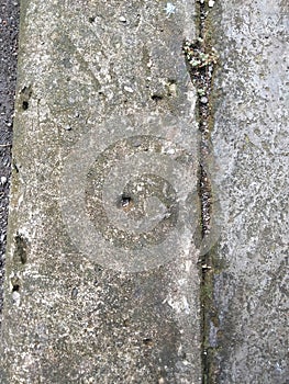 Weathered Concrete Pavement Texture With Cracks and Moss Background