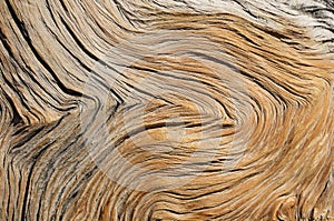 Contorted Wood Grain