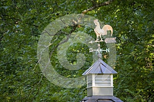 A weathered copper rooster weathervane on a wooden cupola with pecan trees in the background.