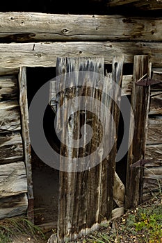 Weathered door to abandoned log cabin