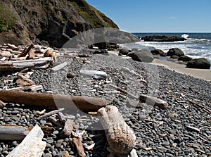 Weathered driftwood, southern Oregon beach