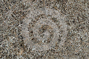 Weathered Dry Grass, Hay dry grass background