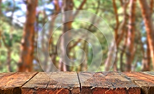 Weathered empty wooden table in front on a pine forest background. Table in perspective view with copy space