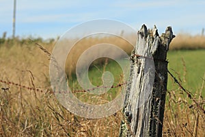 Weathered fence post and barb wire fence