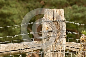 Weathered fence post showing barbed wire along livestock fencing