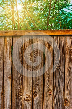 Weathered fence with sun shining over through tree branches