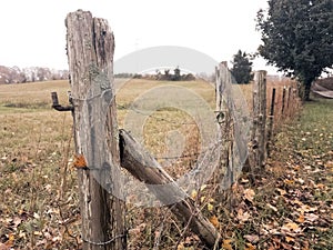 Weathered gate post and barbed wire fence