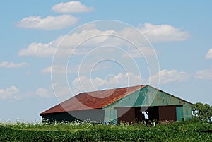 A weathered green barn with a red roof in Orland Park, IL., with a blue sky with white clouds. photo