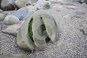 Weathered grooves in a stone, Ballinskellig beach, Ireland
