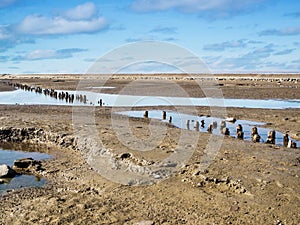 Weathered groyne pillars cloudy sky