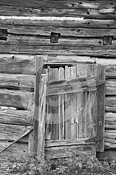 Weathered grungy old log cabin wall with old wooden door background wallpaper