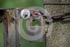 Weathered metal garden gate, closed with a rusty chain and an old padlock against a green background, copy space, selected focus