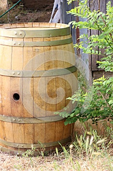 Weathered oak wine barrel at an estate sale.