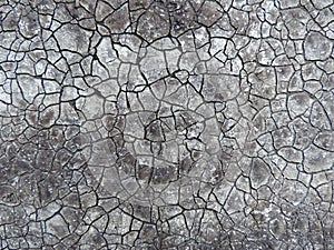 Weathered old dark grey ruberoid photo