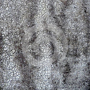 Weathered old dark grey ruberoid photo