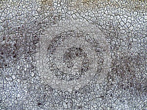 Weathered old dark grey ruberoid photo